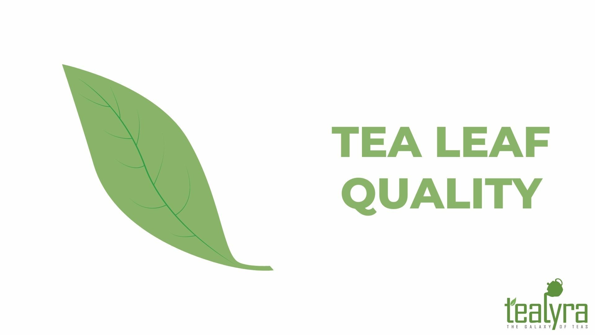 image-how-to-choose-tea-leaf-quality