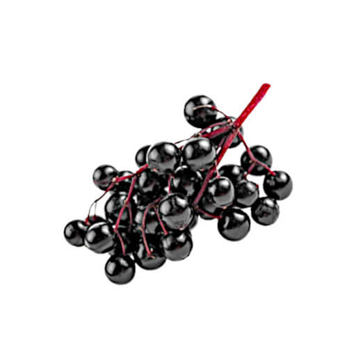 Elderberries