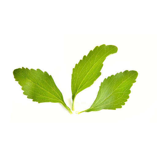 Stevia
