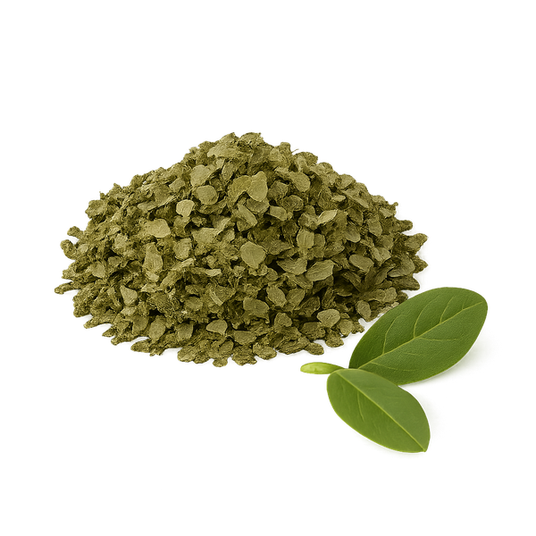 Guayusa