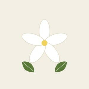 Jasmine