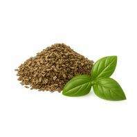 Albahaca