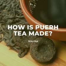 best pu-erh tea