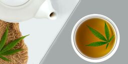 Thé de chanvre