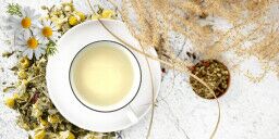 s/ü/ßer tierischer Lazy Tea Infuser Wird in Teebereiter verwendet hergestellt aus Silikon Faneli Teesieb-Filtersilikon ohne BPA