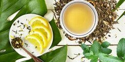 s/ü/ßer tierischer Lazy Tea Infuser Wird in Teebereiter verwendet hergestellt aus Silikon Faneli Teesieb-Filtersilikon ohne BPA