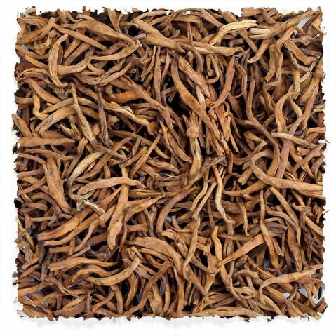 Puerh géant de 30 ans d'âge