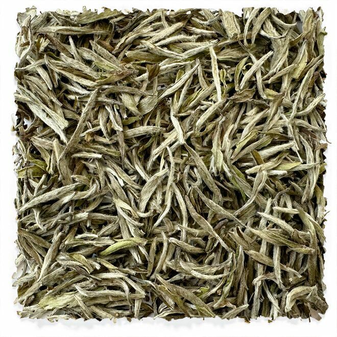 Imperial Fujian Silver White Needle