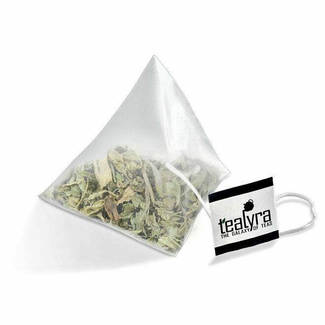 Menthe de la Côte Pacifique