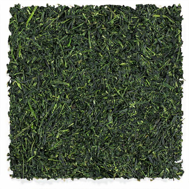 Yame Kabusecha Gyokuro