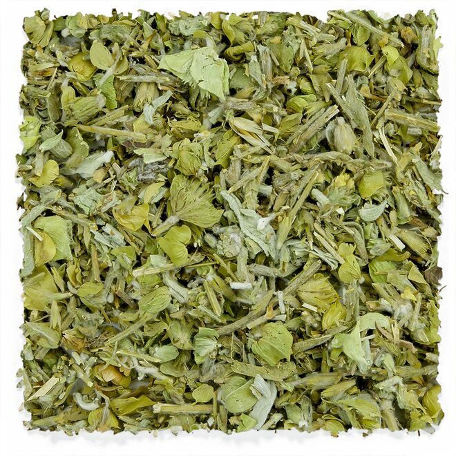 Té griego de montaña