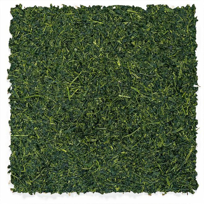 Sencha de Kitano-Zaka