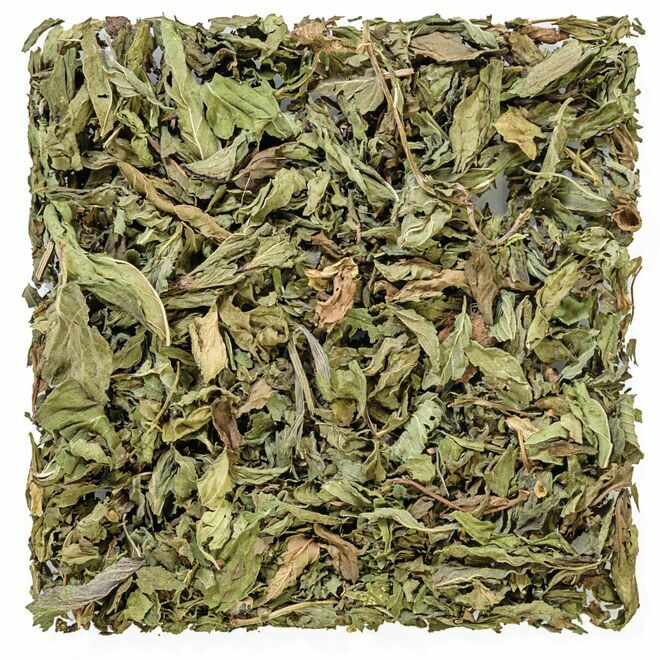 Menthe de la Côte Pacifique