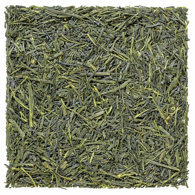 Sencha Tenkaichi
